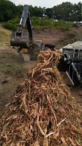 Science And Technology #science #scientist #sciencefacts #scienceexperiment #sciencefiction #knowledge #knowledgeispower #virals #fbreelsvideoreels #fbreelsvideoreels #science #scientist #knowledge #scienceexperiment #animationvideo #knowledgeispower #virals #tbt #animation | Th Shotse