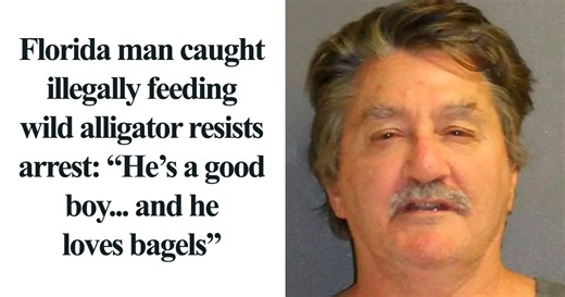 50 Times A Floridian Woke Up And Chose Absolute Unhinged Chaos