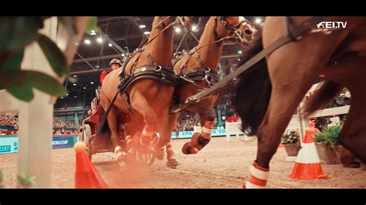 🎥 Partner Pferd Leipzig - FEI World Cup™ Jumping-Driving 2025-2026 I WEL 🗓 Live stream: Jan 15 - 18, 2026 ⭐ Register now & watch live: • Unlimited access to all competitions • Full screen & HD on smartphone, smart TV, laptop & PC • All highlight events & content of our partners • Enjoy all features in the app | ClipMyHorse.TV Deutschland