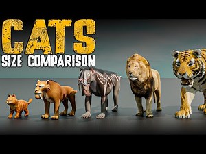 Feline Size Comparison – Real, Extinct & Fictional Cats