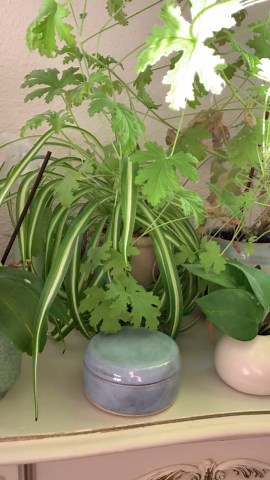 Blue Ceramic Box With Lid for Jewelry or Other Valuables, Gift Idea for a Girlfriend, Handmade Ceramic, Pretty Jewelry Storage - Etsy