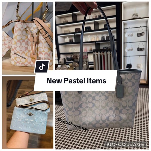 I realized that bleecker came out 2/25😂😂😂Thoughts down below #coach #coachbags #fyp #coachupdates #newcoachbags