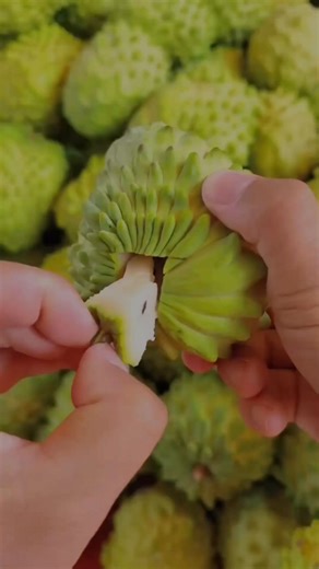 Affirm Yes ❤️ . . . . . . . . #affirmation #affirmations #affirmationoftheday #wealthcreation #attractmoney #lawofattractionmoney #lawofattraction #buddha #sprituality #awakening #usa #newyork #losangeles #fblifestyle | Law of attraction