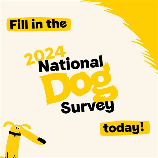 485 reactions · 52 shares |  Want to be part of the UK's largest dog survey? Take the National Dog Survey 2024 and help shape our services. | Dogs Trust | Facebook