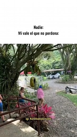 Hollman Donado on Instagram: "🤙 No te pierdas nuestros memes. ¡Síguenos y sé el primero en verlos!: @hollmandonado @hollmandonado #hollmandonado #costamonda #mondanime #barranquilla #colombia #memes"