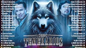 Los Temerarios Mix Romanticas del Ayer | Sólo Música Iguazú