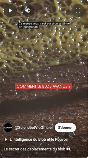 Le secret des déplacements du blob 👀