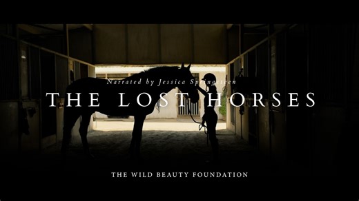 The Lost Horses: "Hero" Narrated by Jessica Springsteen