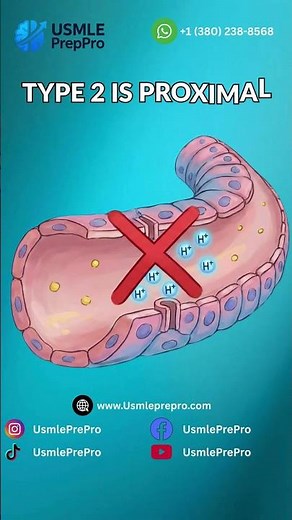 Renal Tubular Acidosis Made Easy: The 1, 2, 4 DPA Mnemonic | USMLE PrepPro