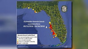 Red tide continues to stretch from Pinellas County to Collier County, FWC map shows