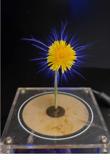 Kadek Tesla Coil Experiment: A Shocking Journey
