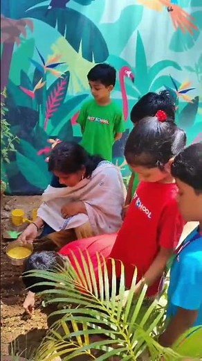 Fun Seed Germination Activity for Preschool Kids! 🌱