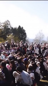 1M views · 56K reactions | HOLY SHIHT-ZU… This is what 100+ San Diego...