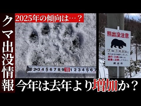 【クマ出没…2025年の傾向は？】雪解けとともに各地で”足跡”「去年ドングリが豊富でクマは出てこなかったが、今年は出てくると思う」クマに襲われ左目を失った84歳ハンターの懸念