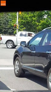 The ducks know what a green light means | storyful