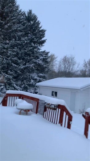 3.8K views · 87 reactions | Still getting dumped on . Kids are ready to go out and play 藍 Knox has a late start and Ellie has no school ! #snowdayyyy | Michelle Nelson | Facebook