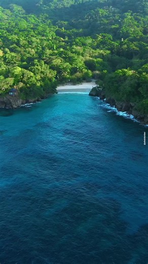 7.7K views · 129 reactions |  Frenchman's Cove Beach, Portland, Jamaica  #portlandjamaica #visitjamaica #jamaica #frenchmancovebeach | sheldonlev | Facebook