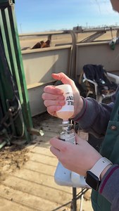 3K views · 847 reactions | January Reprieve in the Heartland #vetlife #nebraska #rural #heartlanddocs #vet | DocsBenandErin | Facebook