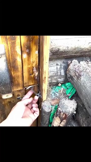 shelter alone in the wooden house 01 #bushcraft #camp #nature #forest #camping #wildlife #outdoor #survival #caveman #primitive #primitiveskills #knowledge #primitive_technology #wildernessskills #outdoors #outdoorlife #campinglife #lifehacks #reelsusa #fyp #foryou | Camping Life