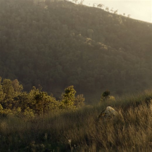 The GWM Cannon Alpha PHEV blends brute force with a conscience. This powerhouse truck delivers serious capability without compromising on fuel efficiency. The future of tough is here, and it's electric. Redefine your drive⚡️💪 #GWMCannonAlphaPHEV #PHEVpower #ElectricTruck #NewRelease #TruckLife | Kedron GWM