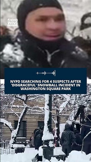 NYPD searching for 4 suspects after 'disgraceful' snowball incident in Washington Square Park