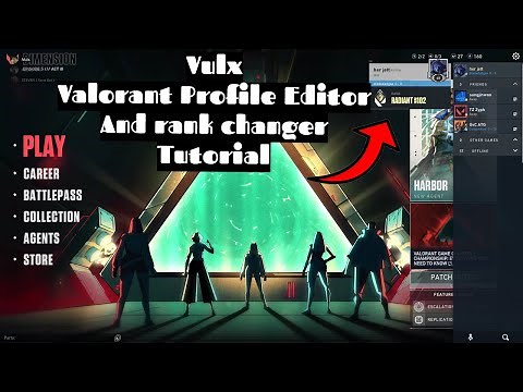 Vulx - Valorant Profile Editor Tutorial