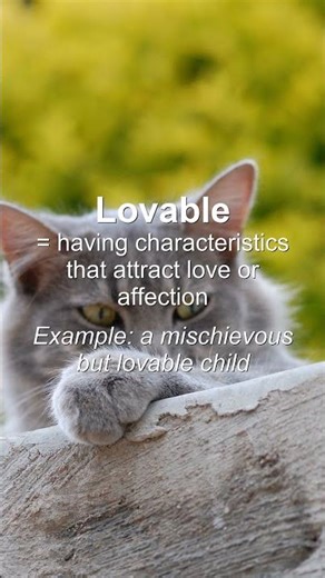 Word of the Day: Lovable #Shorts