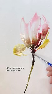 1K views · 41 reactions | Fascinating insight into the drying...