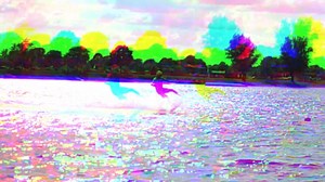 Wakeboarding Videos: Download 6+ Free 4K & HD Stock Footage Clips - Pixabay