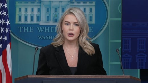 Press secretary defends Trump's death penalty post on ‘seditious' Democrats