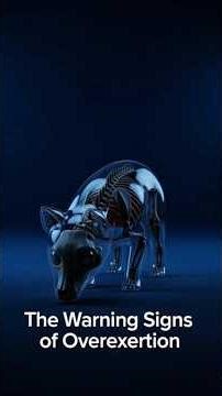 What Happens If a Dog Eats Only Raw Meat? 😳 The Truth