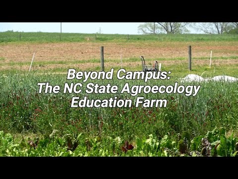 Explore the NC State Agroecology Education Farm