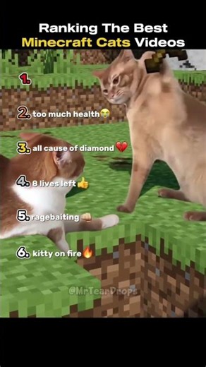 Minecraft cat meme compilation (read description)