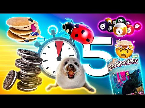 25 Cosas que no sabías hace 5 min⏰ [96]
