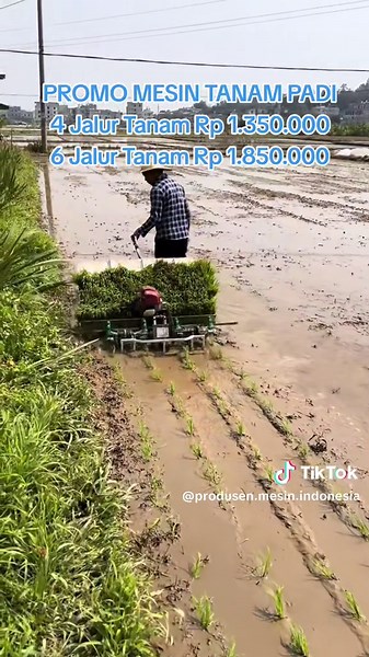ALAT TANAM PADI MODERN Mesin tanam padi otomatis 4 Jalur Tanam Rp 1.350.000 6 Jalur Tanam Rp 1.850.000 Ukuran jarak tanam bisa di sesuaikan: 20x20, 25x25 30x30 cm Garansi mesin 2 tahun Untuk Info Pemesanan Silahkan Di Klik link di BIO profil ya kak, atau bisa langsung chat Admin Fast Respon Kami atau WA: 0878•1169•2155😊🙏 #padi #tanampadi #mesintanam #promo #mesin