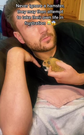 Preventing Hamster Suicides: Understanding Unusual Hamster Behavior