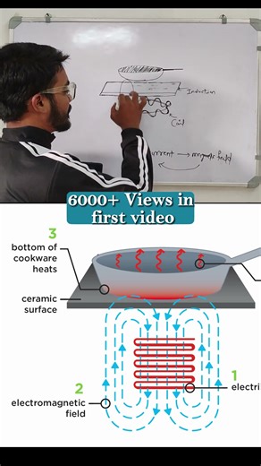 🤔How do Induction stove work? #physics #factsinhindi