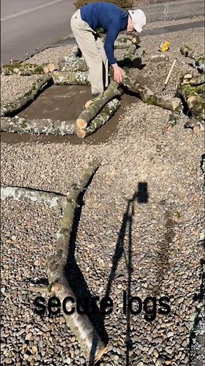 Building Raised Garden Beds with Logs