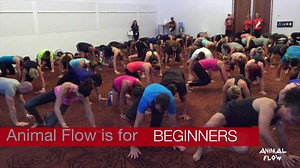 Wondering if you are ready for Animal Flow? You are! The Level 1...
