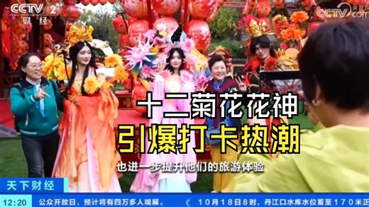 央视新闻直播间、天下财经聚焦开封清明上河园百万菊花展！十二花神成菊花文化节期间最靓的沉浸互动全新体验！