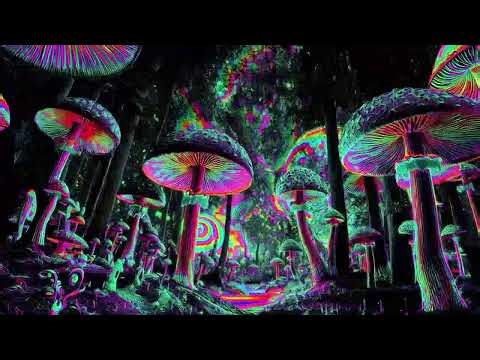 🌌 24/7 Psytrance Radio 🔮 | Progressive • Goa • Full-On • Psychedelic Trance Music Live Stream 🚀