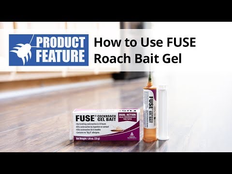How to Use Fuse Roach Gel Bait Gel | DoMyOwn.com