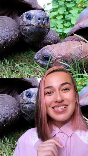 🌈 The oldest living land animal is bisexual 🌈 Ft. Dr Naomi Koh Belic #Shorts #Science #WorldPride