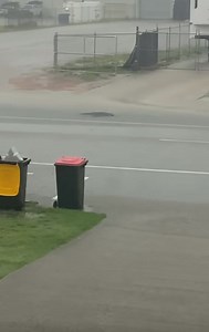 3.6K views · 31 reactions | Wild storms swept through Townsville this afternoon, leaving a trail of chaos and even unsettling the local crocodiles. In an unusual sight, a crocodile was caught on video floating along the side of a flooded road. The video, credited to Benny Jay, captures the surreal aftermath of the storms that brought heavy rain and flash flooding to the region. Video credit Benny Jay - Everything Townsville (page). | Oz Industries Forecasting Weather Oz | Facebook
