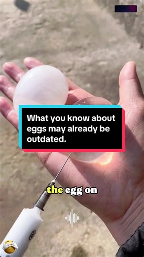 What you know about eggs may already be outdated.#facts #amazing #usa🇺🇸 #funny #viral