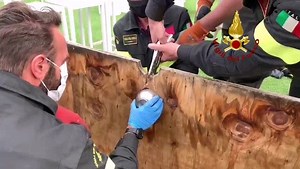 1.4M views · 7.5K reactions |  Micio curioso (e sfortunato)...