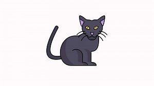Eye icon animation cat blinks, head moves and cat tail moves with 4k resolution.