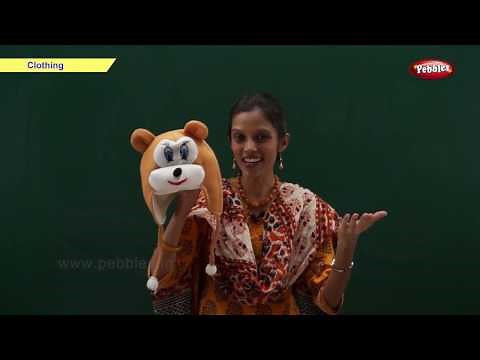 Types of Clothes : Activity | Science Basics For Kids | Science For Class 1