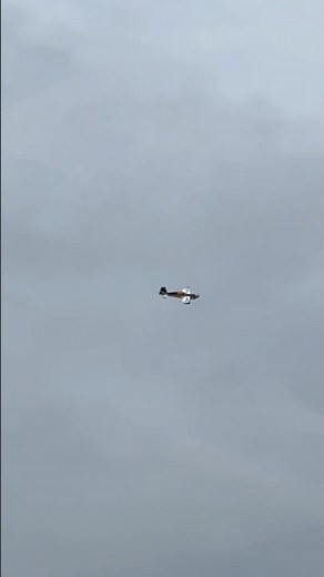 Giant RC Aerobatic Plane Performs Breathtaking Spin Maneuver #rcjet #rcplane #rcflying