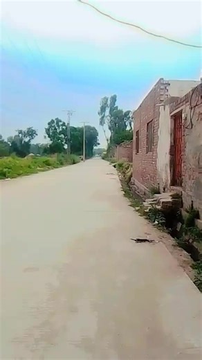 anmul anmul on TikTok